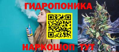 дурь Можга