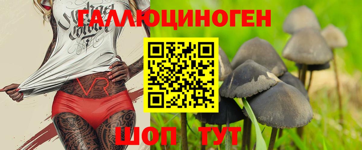 Галлюциногенные грибы GOLDEN TEACHER Долгопрудный