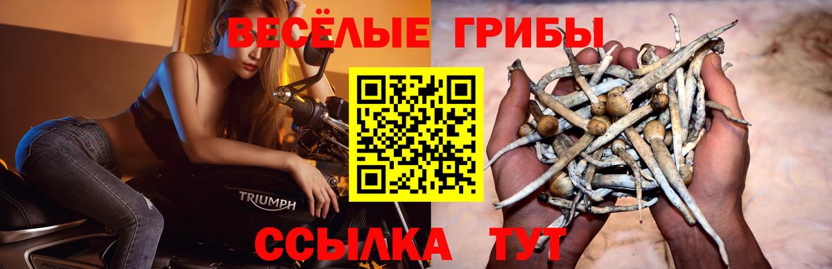 Долгопрудный  Галлюциногенные грибы мухоморы  Вход с VPN 